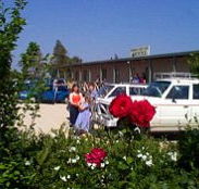 Boerbuck Country Motel  Host Farm - Melbourne Tourism