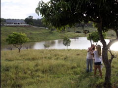 Branell Homestead Bed & Breakfast - Melbourne Tourism 4