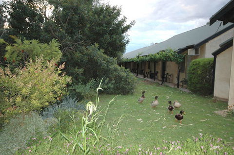 Burra Motor Inn - Melbourne Tourism 2
