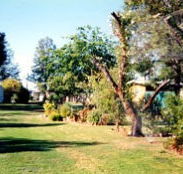 Condamine River Caravan Park - Melbourne Tourism