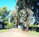 Cudal Caravan Park - Melbourne Tourism