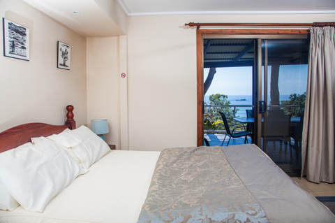 Grass Trees On Straddie - Melbourne Tourism 2