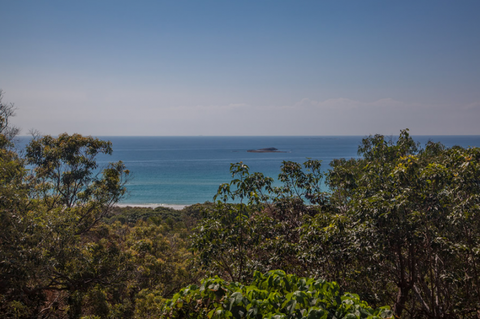 Grass Trees On Straddie - Melbourne Tourism 4