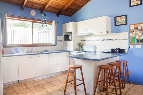 Grass Trees On Straddie - Melbourne Tourism 1