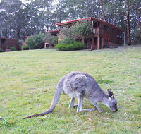Jenolan Caves Cottages - Melbourne Tourism