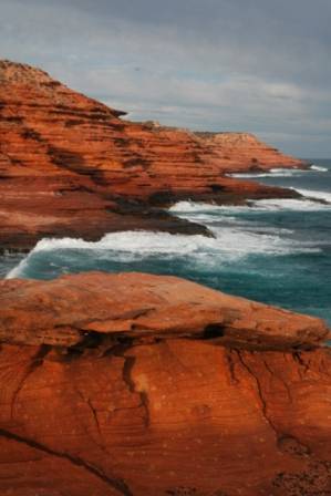 Kalbarri Palm Resort Golden Chain - Melbourne Tourism 7