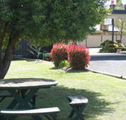 Kyneton Motel - Melbourne Tourism
