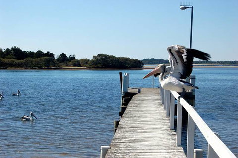 Moby Dick Waterfront Motel - Melbourne Tourism 4