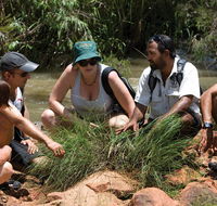 Nitmiluk Tours  Accommodation - Melbourne Tourism