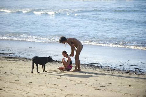 North Coast Holiday Parks Scotts Head - Melbourne Tourism 2