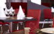 Quality Hotel Tabcorp Park - thumb 1