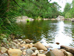 Riverwood Downs Mountain Valley Resort - Melbourne Tourism 7