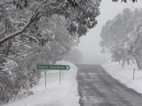 Snowy Mountains Motel - Melbourne Tourism 3