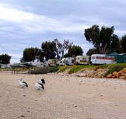 Stansbury Foreshore Caravan Park - Melbourne Tourism
