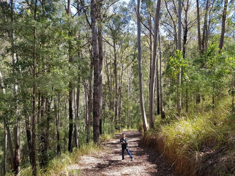 Nirvana Spiritual Retreat - Melbourne Tourism 2