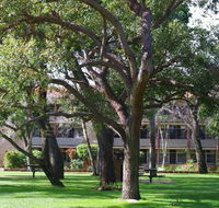 Trinity - Melbourne Tourism