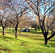 Wellington Caves Caravan Park - Melbourne Tourism