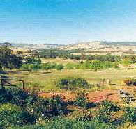 Pecan Hill Bed and Breakfast - Melbourne Tourism