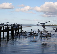 Pelicans At Denmark - Holiday Home - Melbourne Tourism