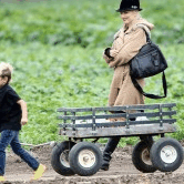 Perth City Farm Organic Markets - Melbourne Tourism