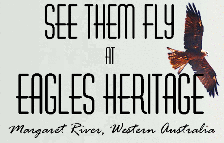 Eagles Heritage Raptor Wildlife Centre - Melbourne Tourism 0