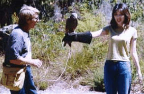 Eagles Heritage Raptor Wildlife Centre - Melbourne Tourism 2