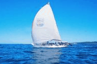 Manly Harbour Village - Melbourne Tourism