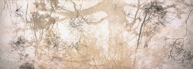 Dianne Tanzer Gallery & Projects - Melbourne Tourism 3