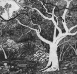 Tacit Contemporary Art - Melbourne Tourism