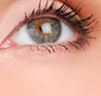 Cinnamon Stix Hair  Day Spa - Melbourne Tourism