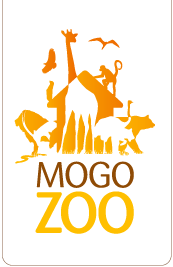 Mogo Zoo - Melbourne Tourism