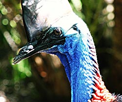 Narangba QLD Melbourne Tourism