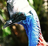 Alma Park Zoo - Melbourne Tourism