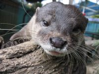 Underwater World - Melbourne Tourism 1