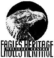 Eagles Heritage - Melbourne Tourism 0