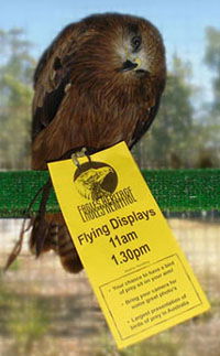 Eagles Heritage - Melbourne Tourism 1