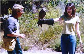 Eagles Heritage - Melbourne Tourism 2