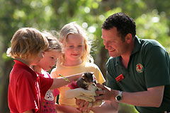 Plympton Park SA Melbourne Tourism