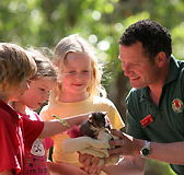Cleland Wildlife Park - Melbourne Tourism