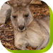 Edensor Park NSW Melbourne Tourism