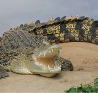 Dundee's Wildlife Park - Melbourne Tourism