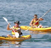 Manly Kayaks - Melbourne Tourism