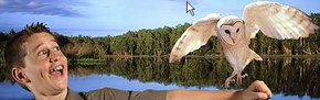 Territory Wildlife Park - Melbourne Tourism 2