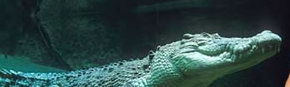 Territory Wildlife Park - Melbourne Tourism 3
