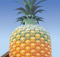 The Big Pineapple - Melbourne Tourism