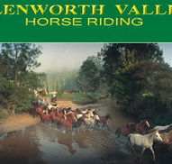 Glenworth Valley Horseriding - Melbourne Tourism