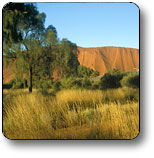  Melbourne Tourism