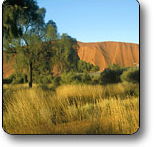 Uluru - Kata Tjuta National Park - Melbourne Tourism