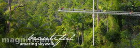 Rainforest Skywalk - Melbourne Tourism 2