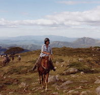 High Country Horses - Melbourne Tourism
